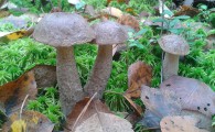 pohod_004