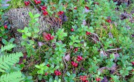 pohod_007