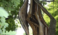 pohod_008