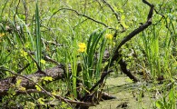 pohod_010